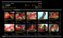 Adult Script Pro Frontend Related Screenshot